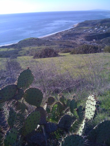 crystal cove state Park