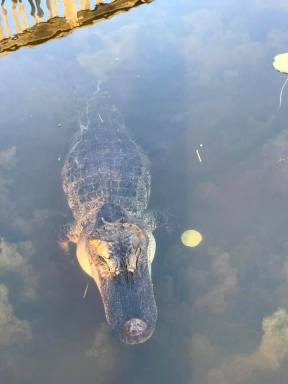 57578711_2197686296951704_4210154572510920704_n