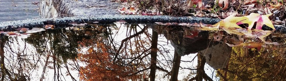 My Training  日記　第4章