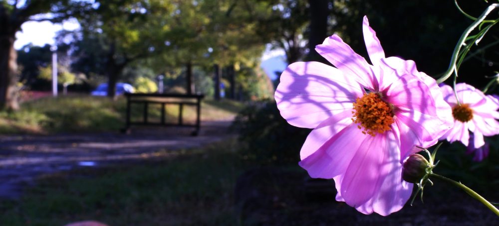 My Training  日記　第4章